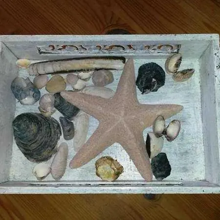 Sandkoernchen Haus Faltings Whg 3 Og Mit Balkon *